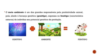  O meio ambiente é um dos grandes responsáveis pela produtividade animal,
pois, aliado à herança genética (genótipo), expressa no fenótipo (característica
externa) do indivíduo seu potencial genético de produção.
GENÓTIPO AMBIENTE FENÓTIPO
 