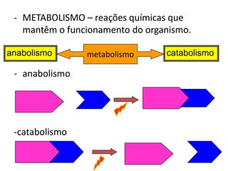 - METABOLISMO – reações químicas que
mantêm o funcionamento do organismo.
- anabolismo
+
-catabolismo
+
metabolismo catabolismoanabolismo
 