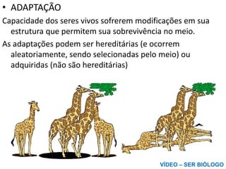 • ADAPTAÇÃO
Capacidade dos seres vivos sofrerem modificações em sua
estrutura que permitem sua sobrevivência no meio.
As adaptações podem ser hereditárias (e ocorrem
aleatoriamente, sendo selecionadas pelo meio) ou
adquiridas (não são hereditárias)
VÍDEO – SER BIÓLOGO
 