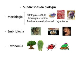 - Subdivisões da biologia
- Morfologia
- Embriologia
- Taxonomia
Citologia – célula
Histologia – tecido
Anatomia – estruturas do organismo
 