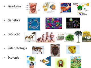 - Fisiologia
- Genética
- Evolução
- Paleontologia
- Ecologia
 