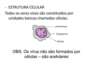 - ESTRUTURA CELULAR
Todos os seres vivos são constituídos por
unidades básicas chamadas células.
Membrana
Citoplasma
Núcleo
OBS. Os vírus não são formados por
células – são acelulares
 