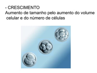 - CRESCIMENTO
Aumento de tamanho pelo aumento do volume
celular e do número de células
 
