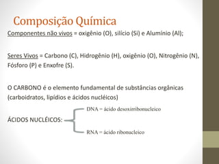 Composição Química
Componentes não vivos = oxigênio (O), silício (Si) e Alumínio (Al);
Seres Vivos = Carbono (C), Hidrogênio (H), oxigênio (O), Nitrogênio (N),
Fósforo (P) e Enxofre (S).
O CARBONO é o elemento fundamental de substâncias orgânicas
(carboidratos, lipídios e ácidos nucléicos)
ÁCIDOS NUCLÉICOS:
DNA = ácido desoxirribonucleico
RNA = ácido ribonucleico
 
