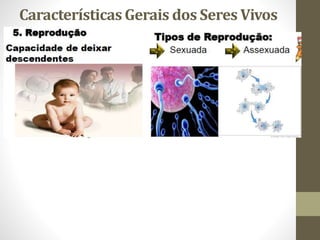 Características Gerais dos Seres Vivos
 