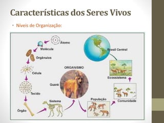 Características dos Seres Vivos
• Níveis de Organização:
 