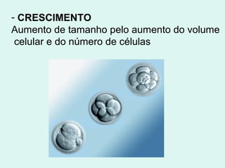 - CRESCIMENTO
Aumento de tamanho pelo aumento do volume
 celular e do número de células
 