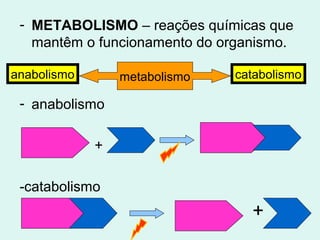- METABOLISMO – reações químicas que
   mantêm o funcionamento do organismo.

anabolismo       metabolismo   catabolismo

 - anabolismo

             +

 -catabolismo
                                 +
 