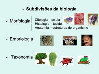- Subdivisões da biologia

- Morfologia    Citologia – célula
                Histologia – tecido
                Anatomia – estruturas do organismo


- Embriologia



- Taxonomia
 