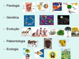 - Fisiologia


- Genética


- Evolução


- Paleontologia

- Ecologia
 