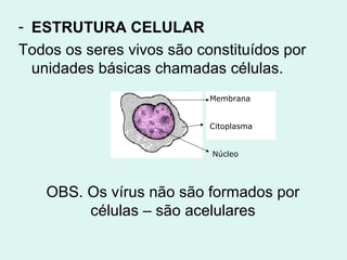 - ESTRUTURA CELULAR
Todos os seres vivos são constituídos por
  unidades básicas chamadas células.
                           Membrana


                           Citoplasma


                           Núcleo




   OBS. Os vírus não são formados por
        células – são acelulares
 