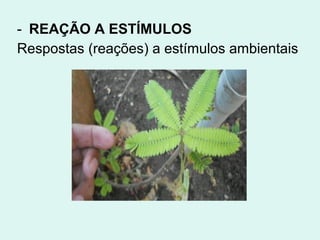 - REAÇÃO A ESTÍMULOS
Respostas (reações) a estímulos ambientais
 
