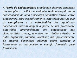 A Teoria da Endossimbiose propõe que algumas organelas
que compõem as células eucariontes tenham surgido como
consequência de uma associação simbiótica estável entre
organismos. Mais especificamente, esta teoria postula que
os cloroplastos e as mitocôndrias dos organismos
eucariontes tiveram origem a partir de um procarionte
autotrófico (provavelmente um antepassado das
cianobactérias atuais), que viveu em simbiose dentro de
outro organismo, também unicelular, mas provavelmente
de maiores dimensões, obtendo assim proteção e
fornecendo ao hospedeiro a energia fornecida pela
fotossíntese.
 
