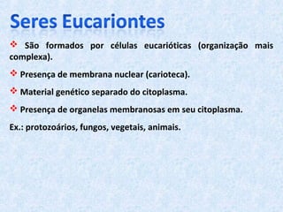  São formados por células eucarióticas (organização mais
complexa).
 Presença de membrana nuclear (carioteca).
 Material genético separado do citoplasma.
 Presença de organelas membranosas em seu citoplasma.
Ex.: protozoários, fungos, vegetais, animais.
 