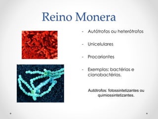 Reino Monera
- Autótrofos ou heterótrofos
- Unicelulares
- Procariontes
- Exemplos: bactérias e
cianobactérias.
Autótrofos: fotossintetizantes ou
quimiossintetizantes.
 