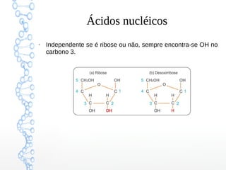 Ácidos nucléicos
●
Independente se é ribose ou não, sempre encontra-se OH no
carbono 3.
 