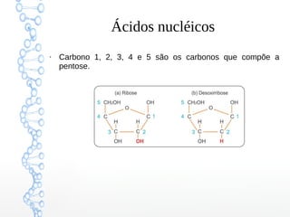 Ácidos nucléicos
●
Carbono 1, 2, 3, 4 e 5 são os carbonos que compõe a
pentose.
 