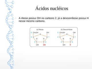 Ácidos nucléicos
●
A ribose possui OH no carbono 2, já a desoxirribose possui H
nesse mesmo carbono.
 