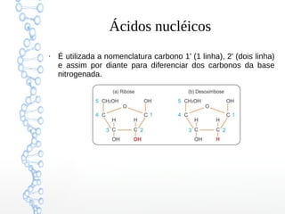 Ácidos nucléicos
●
É utilizada a nomenclatura carbono 1' (1 linha), 2' (dois linha)
e assim por diante para diferenciar dos carbonos da base
nitrogenada.
 