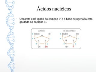 Ácidos nucléicos
●
O fosfato está ligado ao carbono 5' e a base nitrogenada está
grudada no carbono 1'.
 