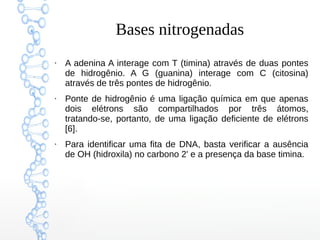 Bases nitrogenadas
●
A adenina A interage com T (timina) através de duas pontes
de hidrogênio. A G (guanina) interage com C (citosina)
através de três pontes de hidrogênio.
●
Ponte de hidrogênio é uma ligação química em que apenas
dois elétrons são compartilhados por três átomos,
tratando-se, portanto, de uma ligação deficiente de elétrons
[6].
●
Para identificar uma fita de DNA, basta verificar a ausência
de OH (hidroxila) no carbono 2' e a presença da base timina.
 