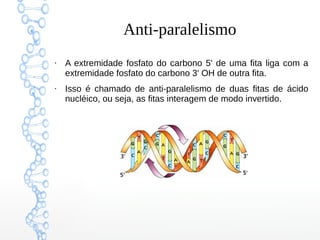 Anti-paralelismo
●
A extremidade fosfato do carbono 5' de uma fita liga com a
extremidade fosfato do carbono 3' OH de outra fita.
●
Isso é chamado de anti-paralelismo de duas fitas de ácido
nucléico, ou seja, as fitas interagem de modo invertido.
 