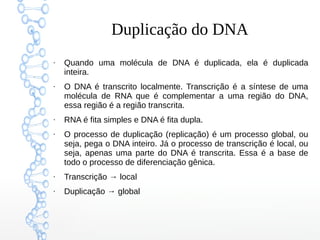 Duplicação do DNA
●
Quando uma molécula de DNA é duplicada, ela é duplicada
inteira.
●
O DNA é transcrito localmente. Transcrição é a síntese de uma
molécula de RNA que é complementar a uma região do DNA,
essa região é a região transcrita.
●
RNA é fita simples e DNA é fita dupla.
●
O processo de duplicação (replicação) é um processo global, ou
seja, pega o DNA inteiro. Já o processo de transcrição é local, ou
seja, apenas uma parte do DNA é transcrita. Essa é a base de
todo o processo de diferenciação gênica.
●
Transcrição → local
●
Duplicação → global
 