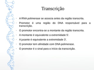 Transcrição
●
A RNA polimerase se associa antes da região transcrita.
●
Promotor é uma região do DNA responsável para a
transcrição.
●
O promotor encontra-se a montante da região transcrita.
●
A montante é equivalente a extremidade 5'.
●
A jusante é equivalente a extremidade 3'.
●
O promotor tem afinidade com DNA polimerase.
●
O promotor é o sinal para o início da transcrição.
 