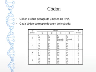 Códon
●
Códon é cada pedaço de 3 bases do RNA.
●
Cada códon corresponde a um aminoácido.
 