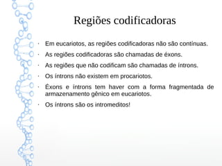 Regiões codificadoras
●
Em eucariotos, as regiões codificadoras não são contínuas.
●
As regiões codificadoras são chamadas de éxons.
●
As regiões que não codificam são chamadas de íntrons.
●
Os íntrons não existem em procariotos.
●
Éxons e íntrons tem haver com a forma fragmentada de
armazenamento gênico em eucariotos.
●
Os íntrons são os intromeditos!
 
