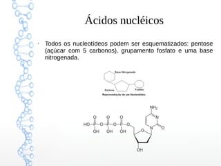 Ácidos nucléicos
●
Todos os nucleotídeos podem ser esquematizados: pentose
(açúcar com 5 carbonos), grupamento fosfato e uma base
nitrogenada.
 