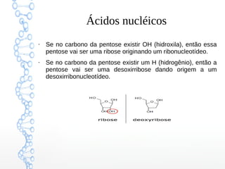 Ácidos nucléicos
●
Se no carbono da pentose existir OH (hidroxila), então essa
pentose vai ser uma ribose originando um ribonucleotídeo.
●
Se no carbono da pentose existir um H (hidrogênio), então a
pentose vai ser uma desoxirribose dando origem a um
desoxirribonucleotídeo.
 