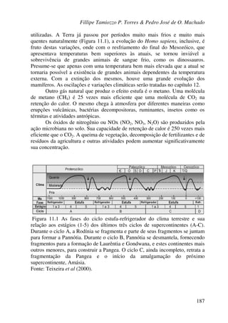 Fillipe Tamiozzo P. Torres & Pedro José de O. Machado
187
utilizadas. A Terra já passou por períodos muito mais frios e muito mais
quentes naturalmente (Figura 11.1), a evolução do Homo sapiens, inclusive, é
fruto destas variações, onde com o resfriamento do final do Mesozóico, que
apresentava temperaturas bem superiores às atuais, se tornou inviável a
sobrevivência de grandes animais de sangue frio, como os dinossauros.
Presume-se que apenas com uma temperatura bem mais elevada que a atual se
tornaria possível a existência de grandes animais dependentes da temperatura
externa. Com a extinção dos mesmos, houve uma grande evolução dos
mamíferos. As oscilações e variações climáticas serão tratadas no capítulo 12.
Outro gás natural que produz o efeito estufa é o metano. Uma molécula
de metano (CH4) é 25 vezes mais eficiente que uma molécula de CO2 na
retenção do calor. O mesmo chega à atmosfera por diferentes maneiras como
erupções vulcânicas, bactérias decompositoras, ruminantes, insetos como os
térmitas e atividades antrópicas.
Os óxidos de nitrogênio ou NOx (NO2, NO3, N2O) são produzidos pela
ação microbiana no solo. Sua capacidade de retenção de calor é 250 vezes mais
eficiente que o CO2. A queima de vegetação, decomposição de fertilizantes e de
resíduos da agricultura e outras atividades podem aumentar significativamente
sua concentração.
Figura 11.1 As fases do ciclo estufa-refrigerador do clima terrestre e sua
relação aos estágios (1-5) dos últimos três ciclos de supercontinentes (A-C).
Durante o ciclo A, a Rodínia se fragmenta e parte de seus fragmentos se juntam
para formar a Pannótia. Durante o ciclo B, Pannótia se desmantela, fornecendo
fragmentos para a formação de Laurêntia e Gondwana, e estes continentes mais
outros menores, para construir a Pangea. O ciclo C, ainda incompleto, retrata a
fragmentação da Pangea e o início da amalgamação do próximo
supercontinente, Amásia.
Fonte: Teixeira et al (2000).
 