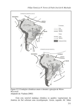Fillipe Tamiozzo P. Torres & Pedro José de O. Machado
211
Figura 12.2 Condições climáticas atuais e durante a glacição de Würm-
Wisconsin
Adaptado de: Viadana (2002)
Com esta sensível mudança climática os quadros vegetacionais da
América do Sul sofreram uma reconfiguração. Assim, segundo Ab´ Sáber
 