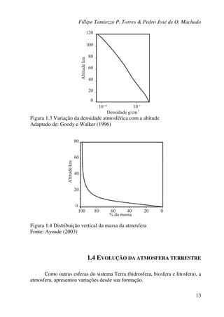 Fillipe Tamiozzo P. Torres & Pedro José de O. Machado
13
Figura 1.3 Variação da densidade atmosférica com a altitude
Adaptado de: Goody e Walker (1996)
Figura 1.4 Distribuição vertical da massa da atmosfera
Fonte: Ayoade (2003)
1.4 EVOLUÇÃO DA ATMOSFERA TERRESTRE
Como outras esferas do sistema Terra (hidrosfera, biosfera e litosfera), a
atmosfera, apresentou variações desde sua formação.
 