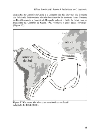 Fillipe Tamiozzo P. Torres & Pedro José de O. Machado
85
originadas da Corrente da Guiné e a Corrente fria das Malvinas (ou Corrente
das Falkland). Esta corrente advinda dos mares do Sul encontra com a Corrente
do Brasil formando a Corrente de Benguela indo até o Golfo da Guiné onde se
transforma na Corrente da Guiné. “Aí, recomeça o ciclo destas correntes”
(Figura 5.7).
Figura 5.7 Correntes Marinhas com atuação direta no Brasil
Adaptado de: IBGE (2006).
 