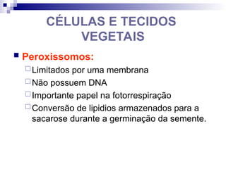CÉLULAS E TECIDOS
VEGETAIS
 Peroxissomos:
Limitados por uma membrana
Não possuem DNA
Importante papel na fotorrespiração
Conversão de lipidios armazenados para a
sacarose durante a germinação da semente.
 