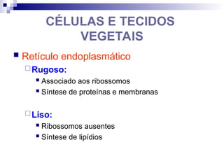 CÉLULAS E TECIDOS
VEGETAIS
 Retículo endoplasmático
Rugoso:
 Associado aos ribossomos
 Síntese de proteínas e membranas
Liso:
 Ribossomos ausentes
 Síntese de lipídios
 