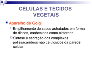 CÉLULAS E TECIDOS
VEGETAIS
 Aparelho de Golgi
Empilhamento de sacos achatados em forma
de discos, conhecidos como cisternas
Sintese e secreção dos complexos
polissacarídeos não celulosicos da parede
celular
 