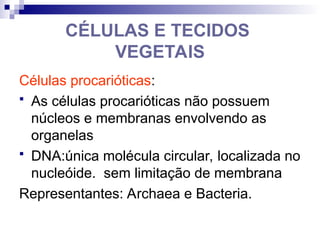 CÉLULAS E TECIDOS
VEGETAIS
Células procarióticas:
 As células procarióticas não possuem
núcleos e membranas envolvendo as
organelas
 DNA:única molécula circular, localizada no
nucleóide. sem limitação de membrana
Representantes: Archaea e Bacteria.
 