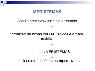MERISTEMAS
Após o desenvolvimento do embrião
↓
formação de novas células, tecidos e órgãos
restrita
↓
aos MERISTEMAS
↓
tecidos embrionários, sempre jovens.
 