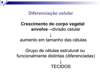 Diferenciação celular
Crescimento do corpo vegetal
envolve→divisão celular
↓
aumento em tamanho das células
Grupo de células estrutural ou
funcionalmente distintas (diferenciadas)
↓
TECIDOS
 