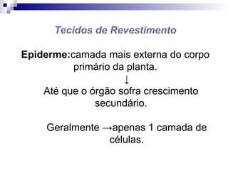 Tecidos de Revestimento
Epiderme:camada mais externa do corpo
primário da planta.
↓
Até que o órgão sofra crescimento
secundário.
Geralmente →apenas 1 camada de
células.
 