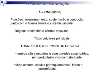 Tecidos de Condução
XILEMA (lenho)
Funções: armazenamento, sustentação e condução.
Junto com o floema forma o sistema vascular.
Origem: procâmbio e câmbio vascular
Tipos celulares principais:
TRAQUEÍDES e ELEMENTOS DE VASO
• ambos são alongados e com paredes secundárias,
sem protoplasto vivo na maturidade.
• ainda contém: células parenquimatosas, fibras e
esclereídeos.
 