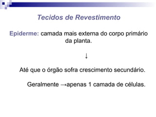 Tecidos de Revestimento
Epiderme: camada mais externa do corpo primário
da planta.
↓
Até que o órgão sofra crescimento secundário.
Geralmente →apenas 1 camada de células.
 
