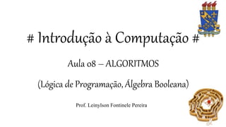 # Introdução à Computação #
Aula 08 – ALGORITMOS
(Lógica de Programação, Álgebra Booleana)
Prof. Leinylson Fontinele Pereira
 