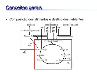 Conceitos gerais
• Composição dos alimentos e destino dos nutrientes
 