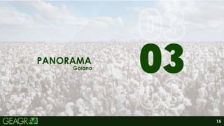 15
01
06
PANORAMA
Goiano
 