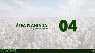 17
01
06
ÁREA PLANTADA
X produtividade
 