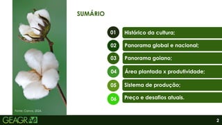 2
SUMÁRIO
Histórico da cultura;
Panorama global e nacional;
Área plantada x produtividade;
Sistema de produção;
Preço e desafios atuais.
Panorama goiano;
01
02
03
04
05
06
Fonte: Canva, 2024.
 